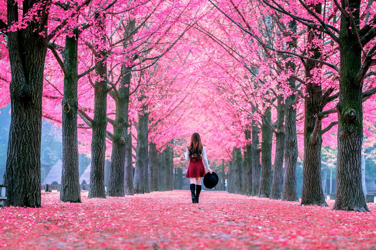 beautiful-girl-with-pink-leaves-nami-island-south-korea (1)